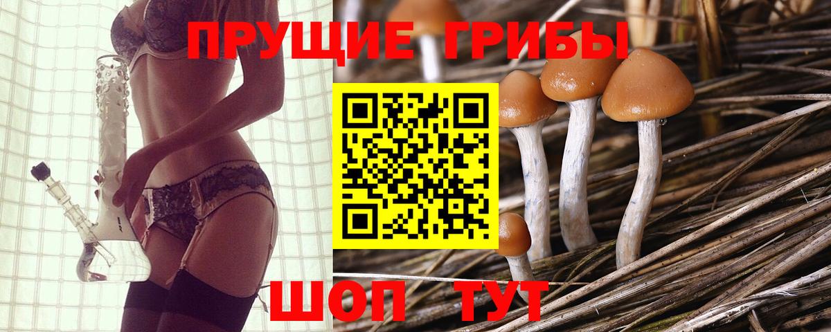 Галлюциногенные грибы прущие грибы  Вход с VPN  Усть-Лабинск 